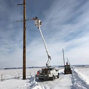 Meet your Posher, Wyatt